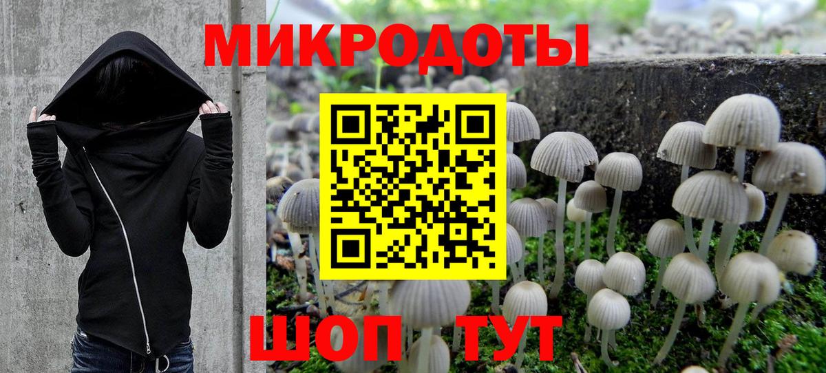 Псилоцибиновые грибы мухоморы Волгоград