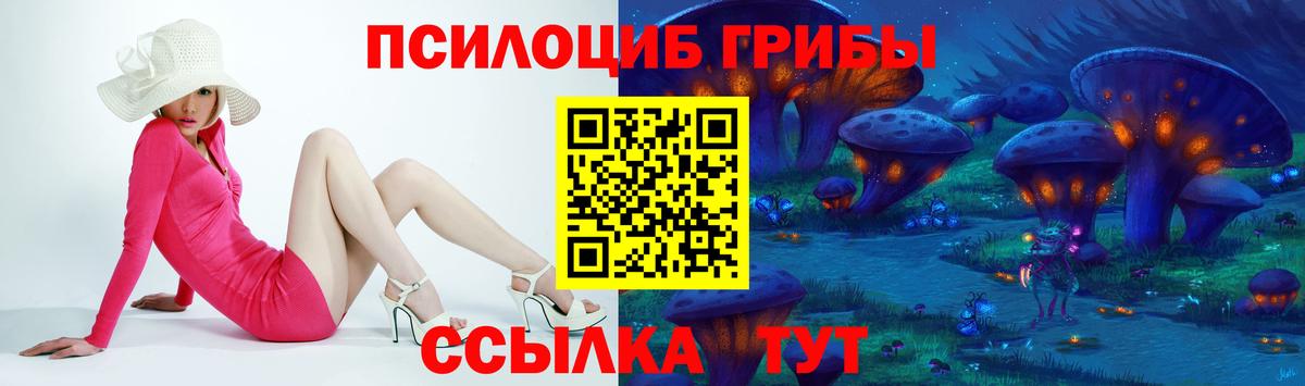 Волгоград  Галлюциногенные грибы прущие грибы  Вход с VPN 